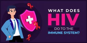 What Does HIV Do to the Immune System? - PrEP Daily